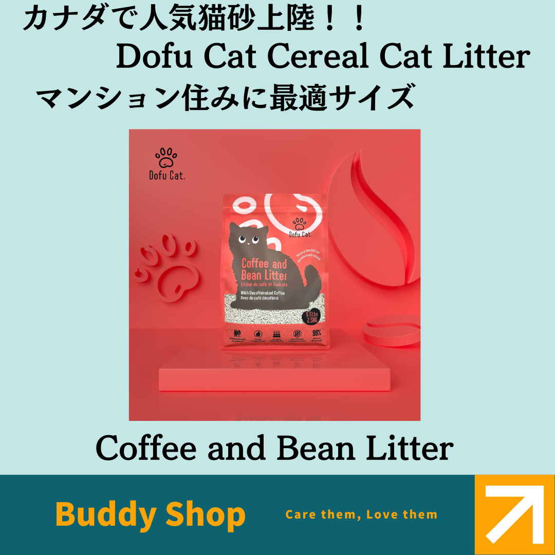 Dofu Cat Coffee and Bean Litter (コーヒ豆)2.5kg×1袋 【送料無料】