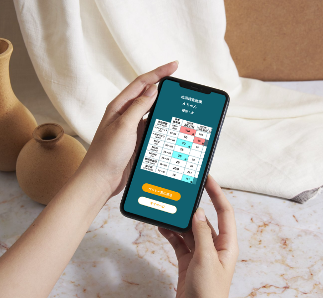 スマートフォンに結果が表示されたBuddy Medical Checkアプリ画面