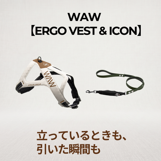 立っているときも、引いた瞬間も。【WAW ハーネス＋リード セット】