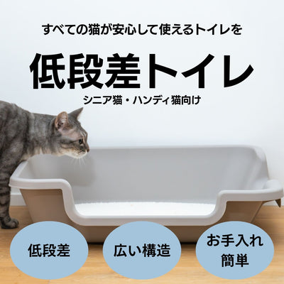 Easy-Entry Cat Litter Box　すべての猫が快適に使える低段差トイレ