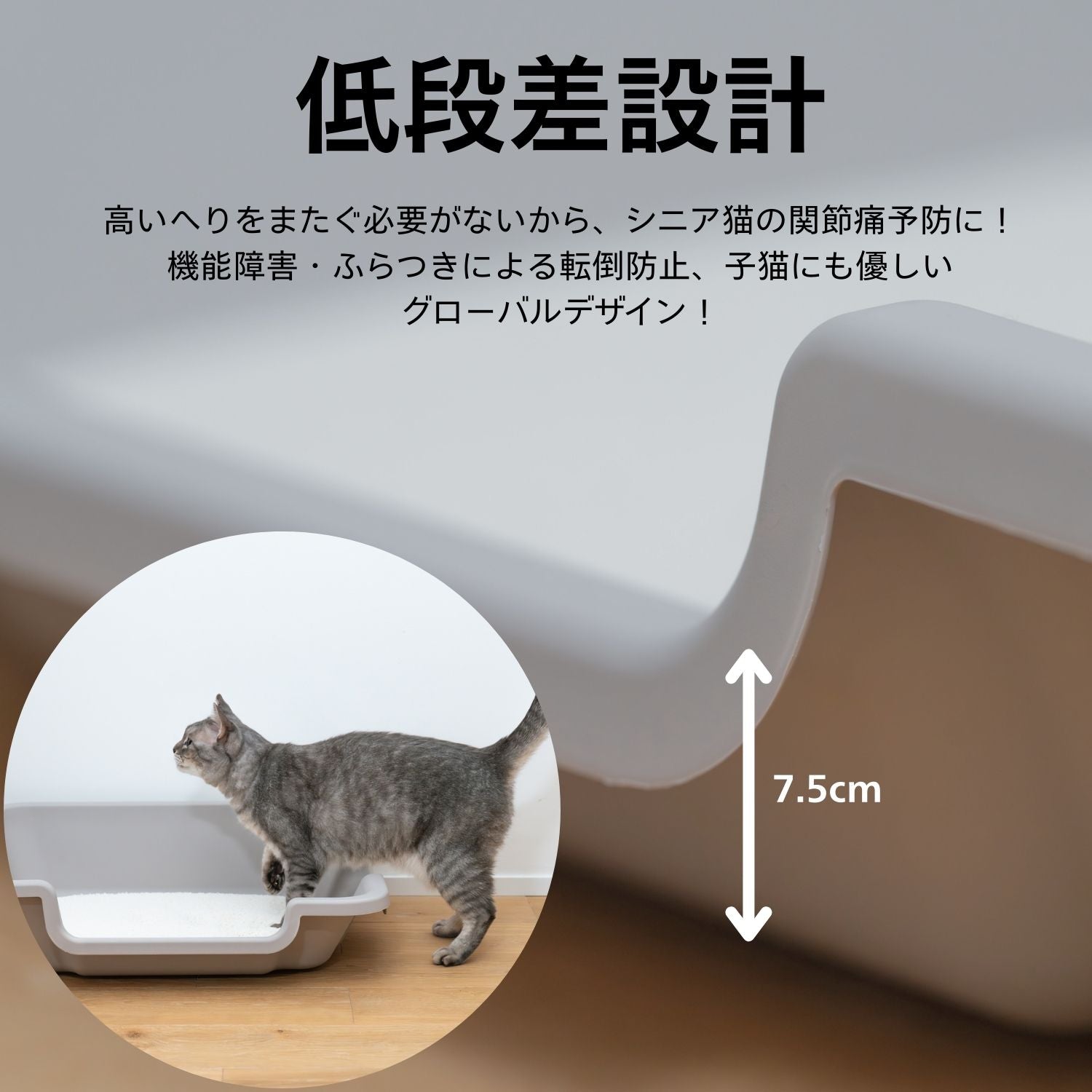 新生活応援セール実施中！低段差キャットトイレ｜シニア猫・子猫に