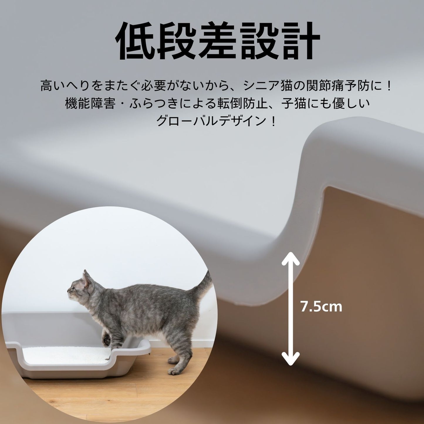Easy-Entry Cat Litter Box　すべての猫が快適に使える低段差トイレ