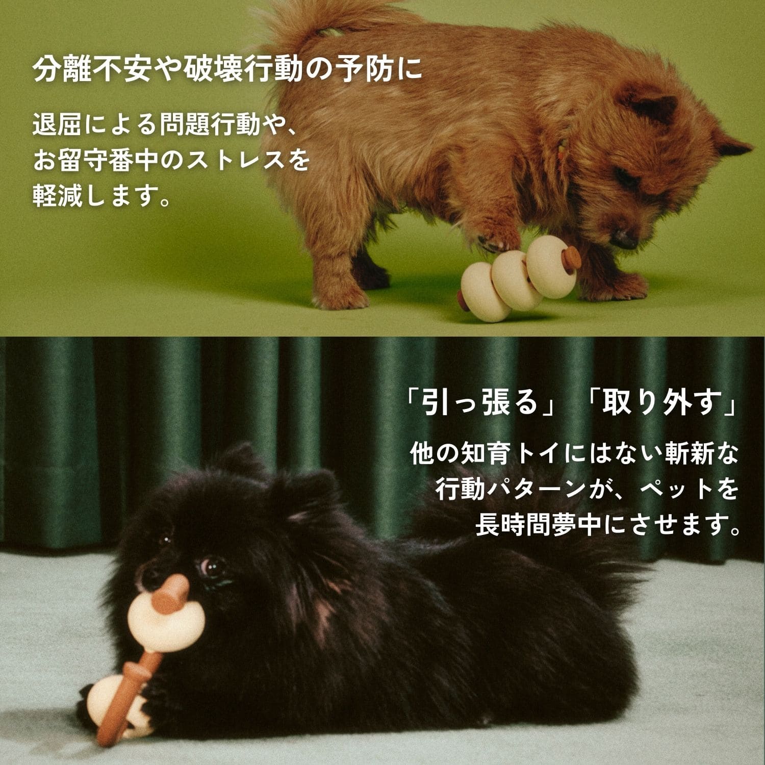おやつを詰めて、嗅覚で探す。 愛犬の「考える力」を育てる知育トイ