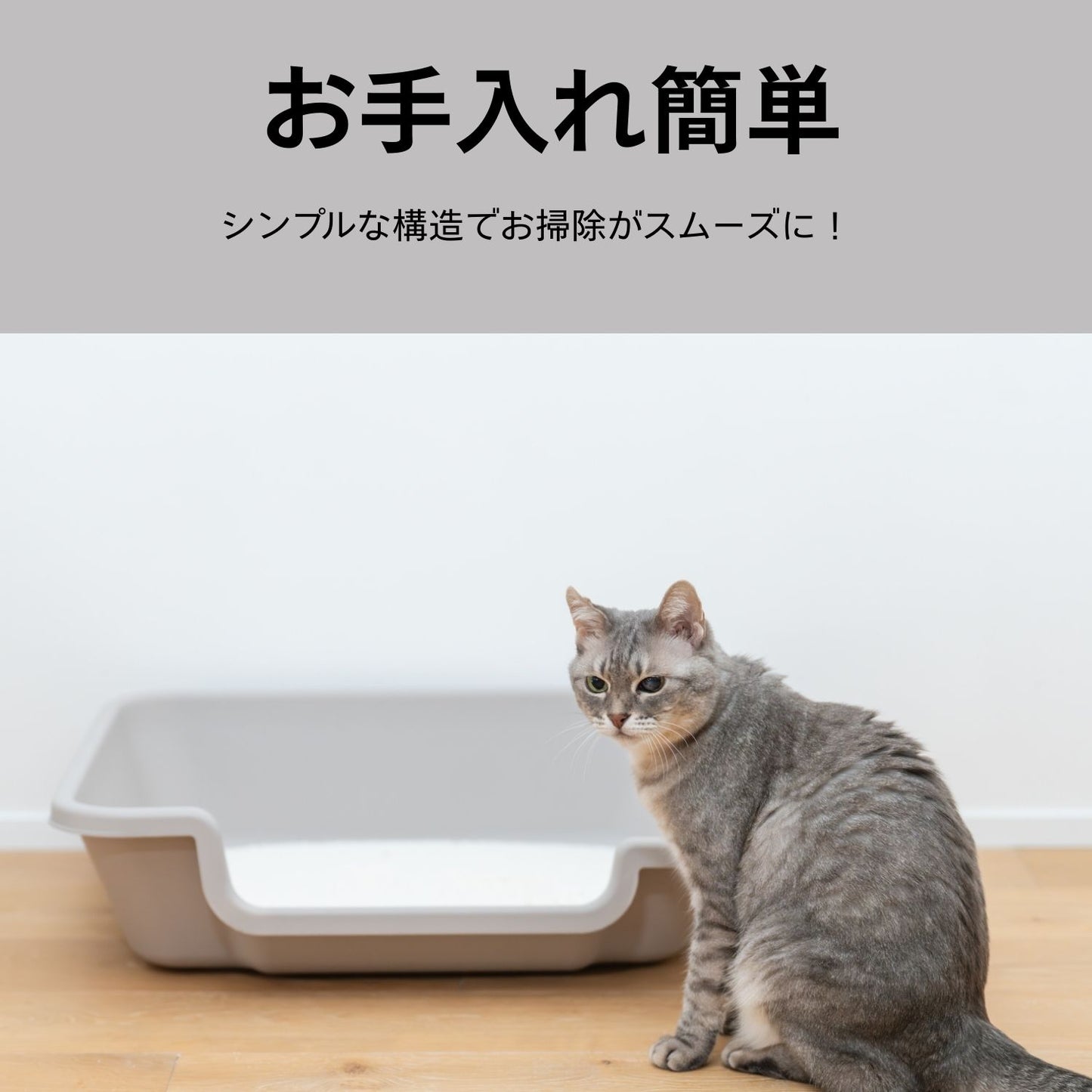 Easy-Entry Cat Litter Box　すべての猫が快適に使える低段差トイレ