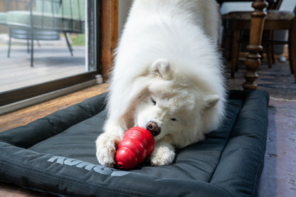 KONG | Extreme Durable Rubber Toy