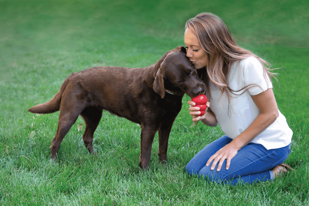 KONG | Extreme Durable Rubber Toy