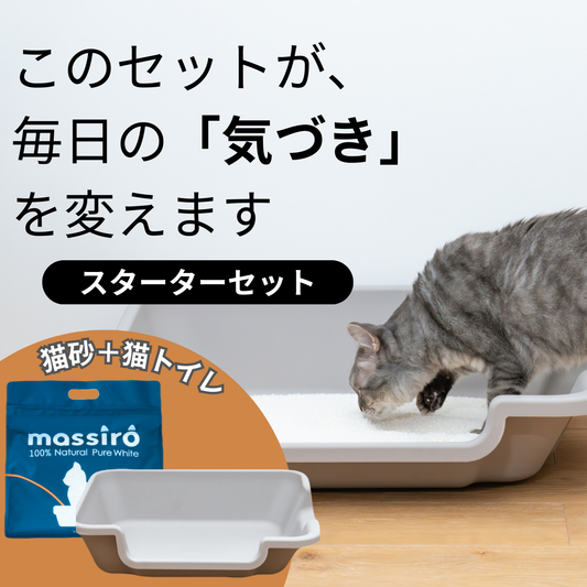 新生活応援セール実施中！ ~4/20まで massiro 猫砂+低段差キャットトイレ スターターセット