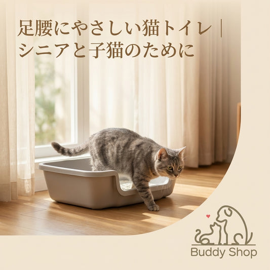 新生活応援セール実施中！-4/20まで　低段差キャットトイレ｜シニア猫・子猫に優しい Easy-Entry