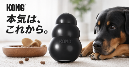 本気はこれからだ！【KONG ブラックコング M 】