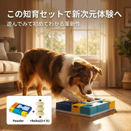 パズラー+ROIKA