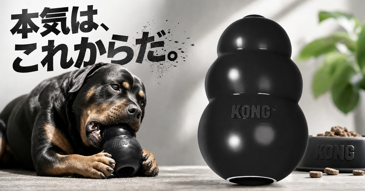本気はこれからだ！【KONG ブラックコング M 】