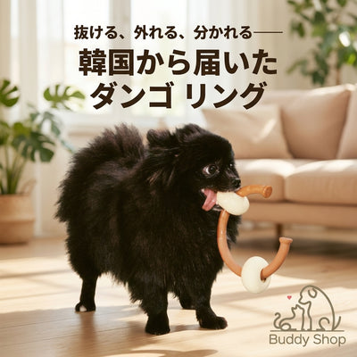 おやつを詰めて、嗅覚で探す。 愛犬の「考える力」を育てる知育トイ【Roika(ロイカ)】ダンゴ リング